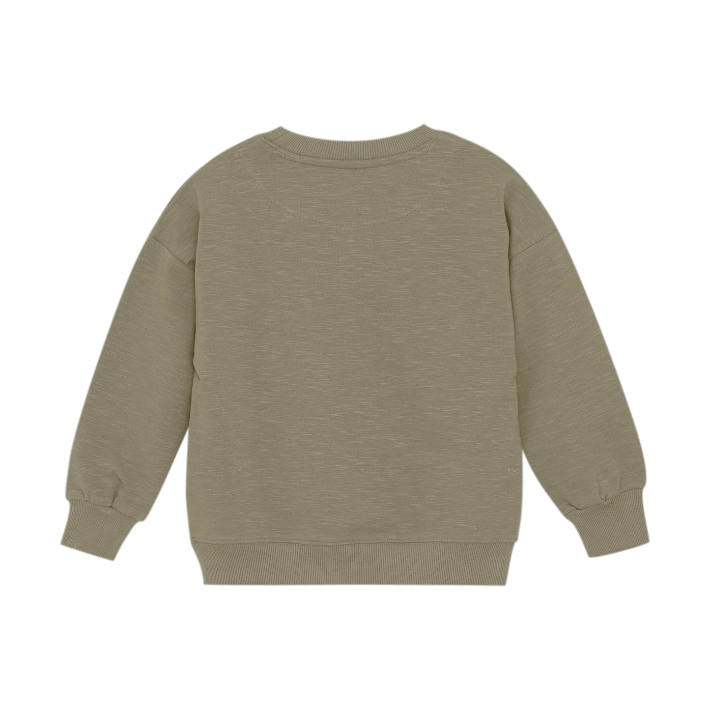 Minymo Jungen Sweatshirt mit Frosch-Motiv Mokkini Kindermode Gesperrt