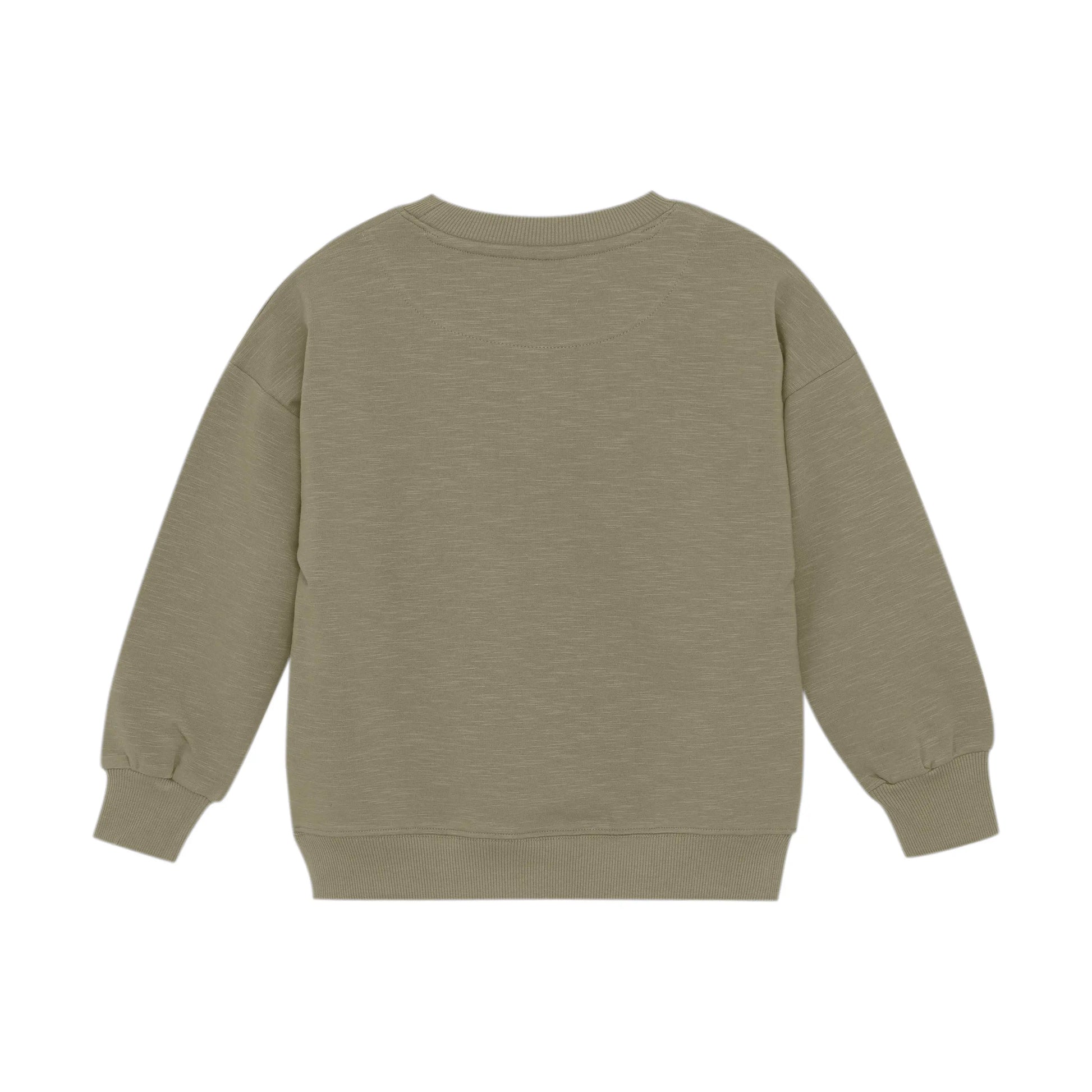 Minymo Jungen Sweatshirt mit Frosch-Motiv Mokkini Kindermode Gesperrt