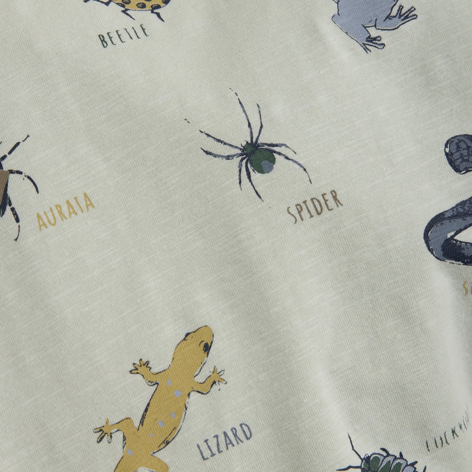 Minymo Jungen T-Shirt "Explorers Guide" in Hellgrün Mokkini Kindermode Gesperrt