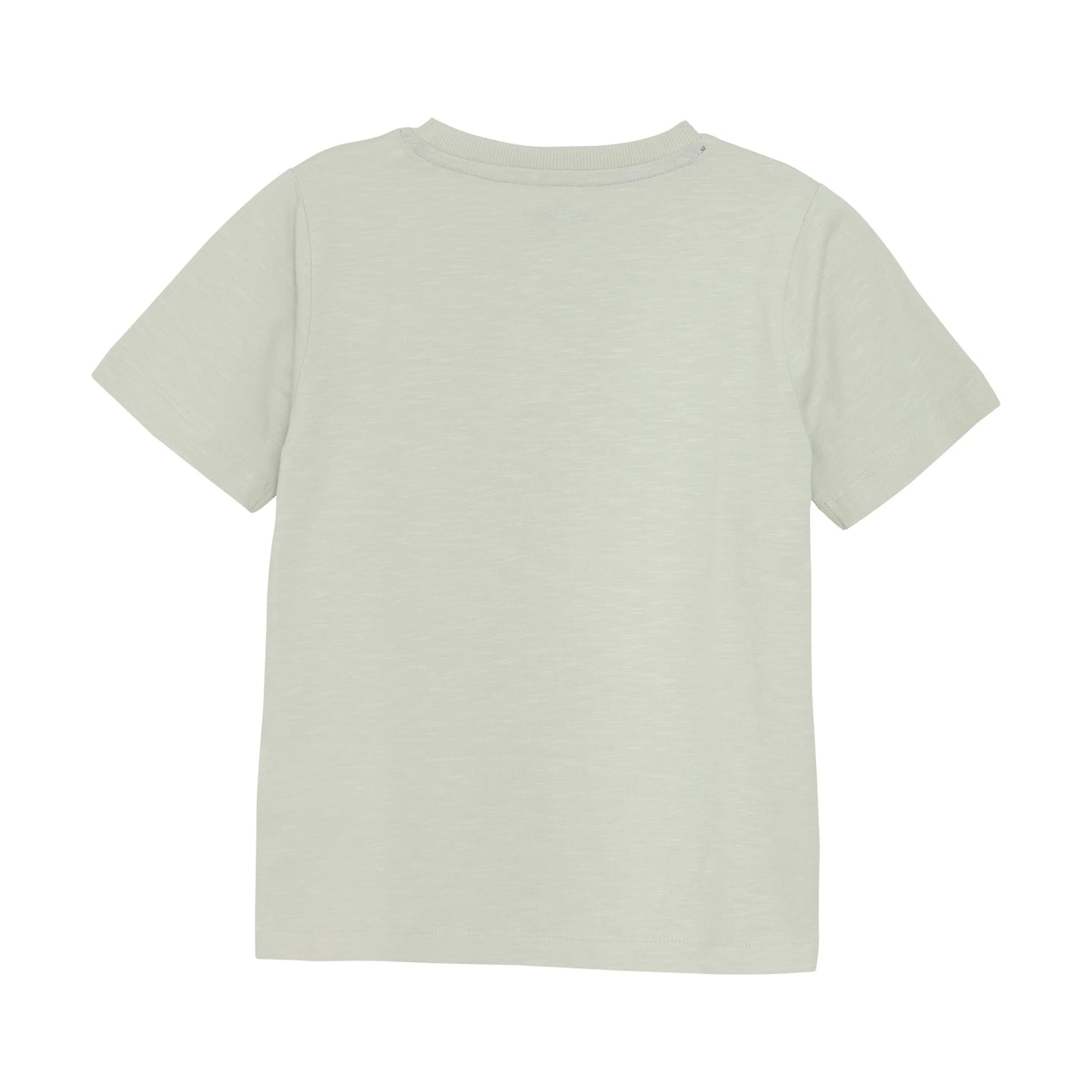 Minymo Jungen T-Shirt "Explorers Guide" in Hellgrün Mokkini Kindermode Gesperrt