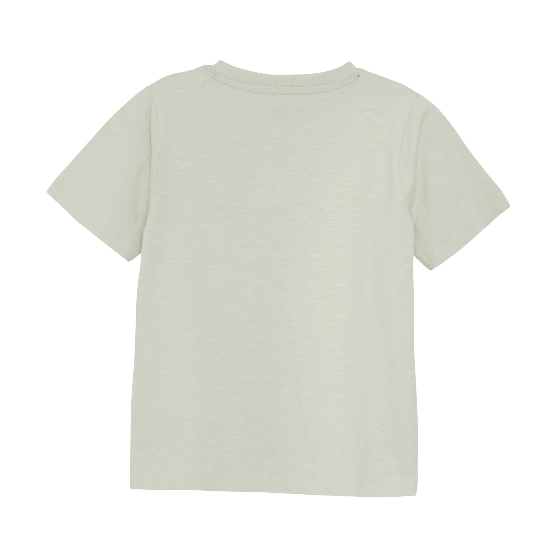 Minymo Jungen T-Shirt "Explorers Guide" in Hellgrün Mokkini Kindermode Gesperrt