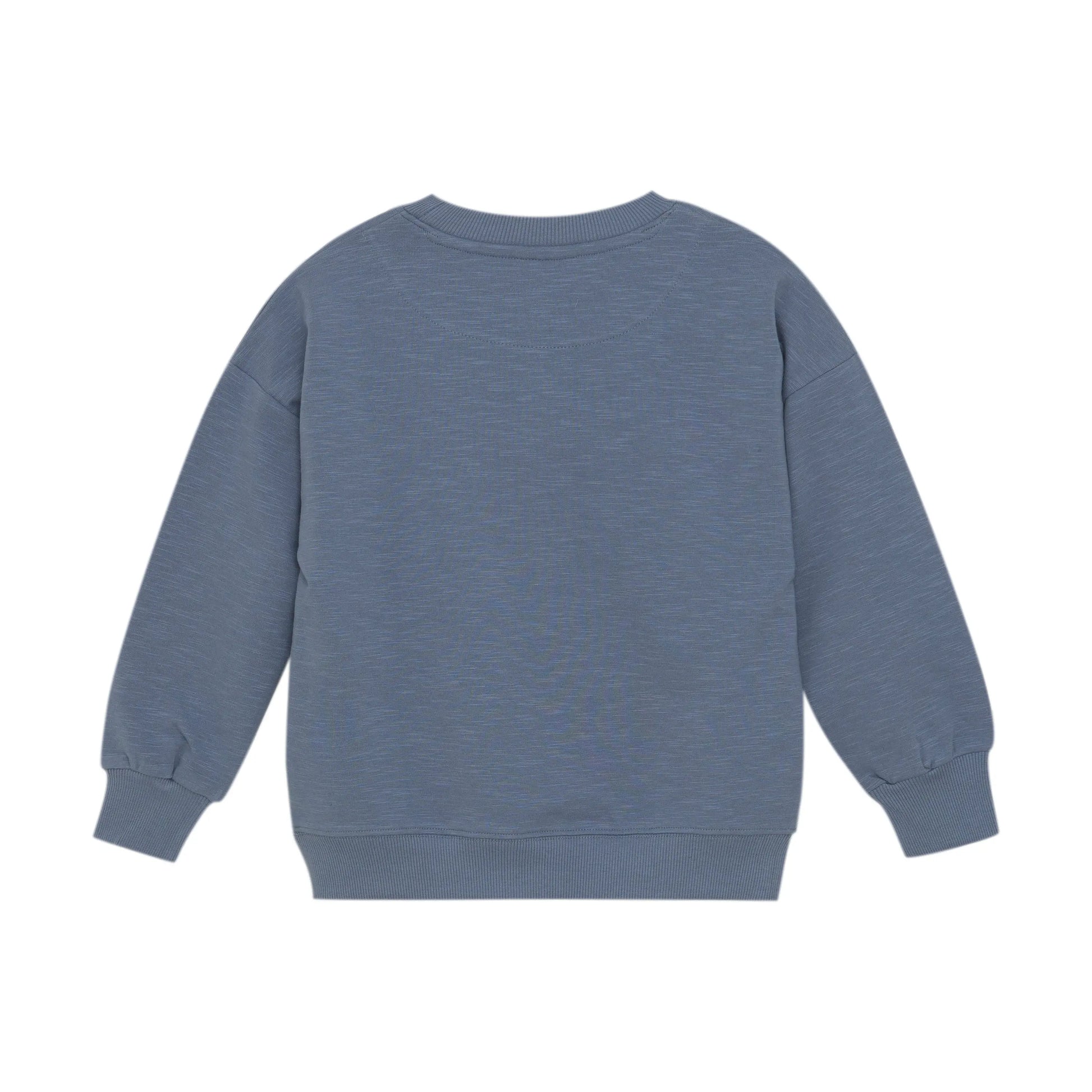Minymo Sweatshirt für Jungen mit Froschmotiv  – Baumwolle, Blau Mokkini Kindermode Gesperrt