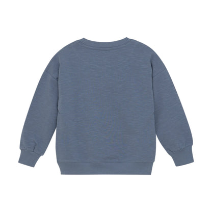 Minymo Sweatshirt für Jungen mit Froschmotiv  – Baumwolle, Blau Mokkini Kindermode Gesperrt