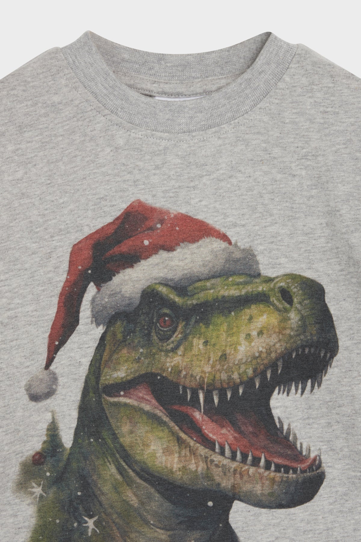 Hust & Claire Langarmshirt mit Weihnachts-Dino – Anton - T-Shirt Langarm - Hust&Claire